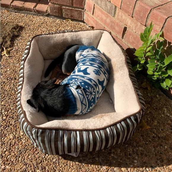 Meet your Poshers, Tracey and BeanieDoodle - Picture 13 of 15